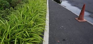 Gestion des eaux de pluie